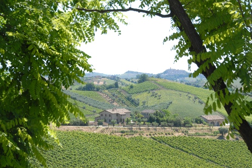 italian farmhouse in the hill